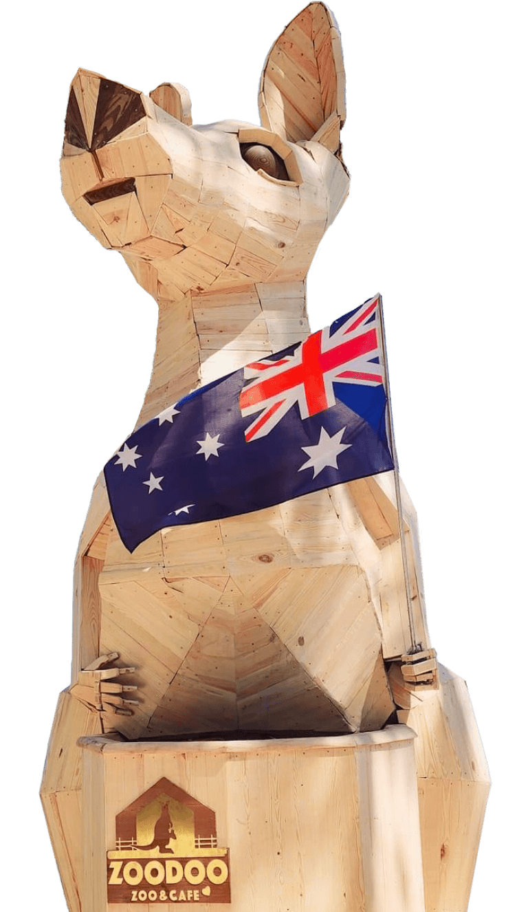 kangaroo