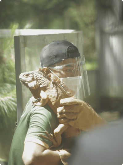 Quang Phát — Zookeeper