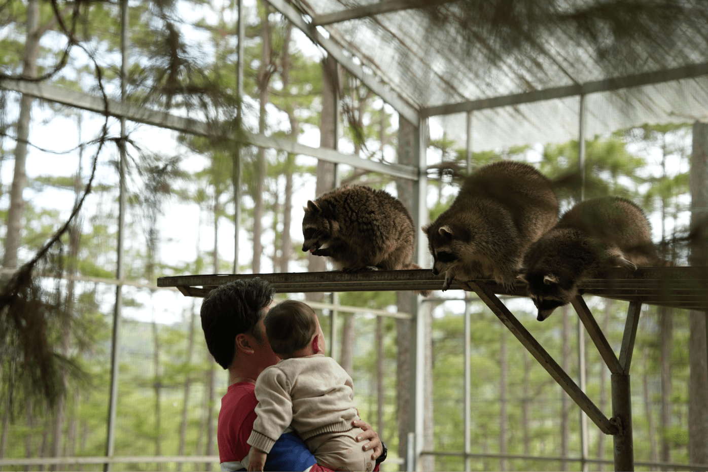 VIP experience at ZooDoo