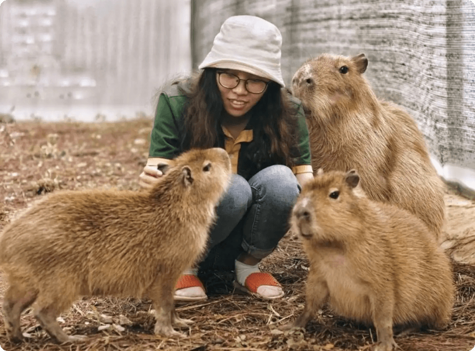 Tất tần tật về vườn thú "siêu cấp" đáng yêu ZooDoo Đà Lạt